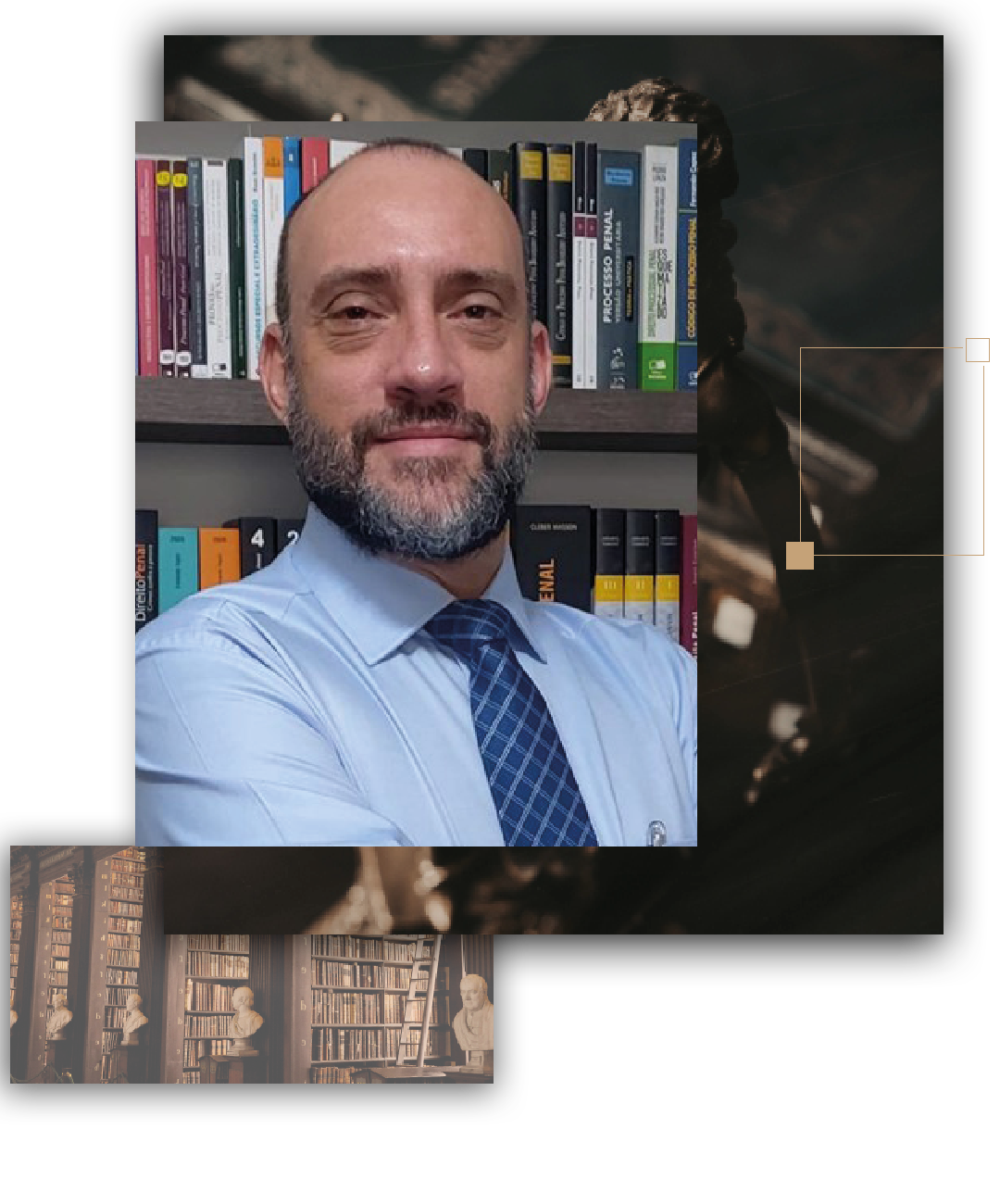 Professores LP Curso Direito