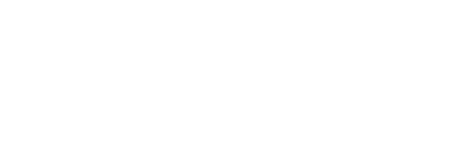 Logo FMU FIES